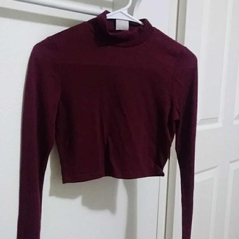 Long sleeved cropped top